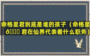 命格星君到底是谁的孩子（命格星 🐒 君在仙界代表着什么职务）